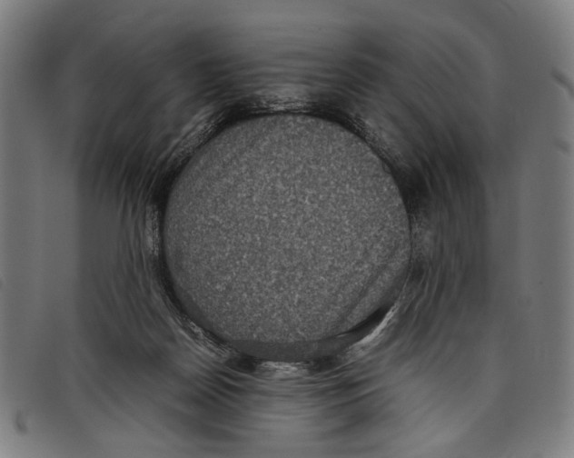 X0000097820170200804041407