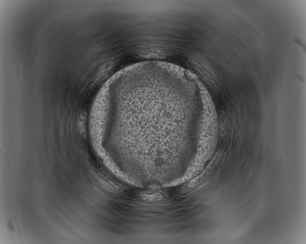 X0000097820175200804041407