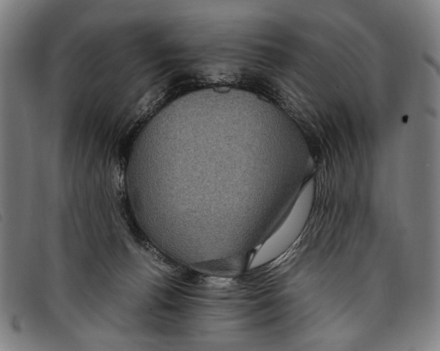 X0000097820176200804041407