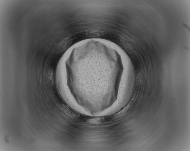 X0000097820178200804041407