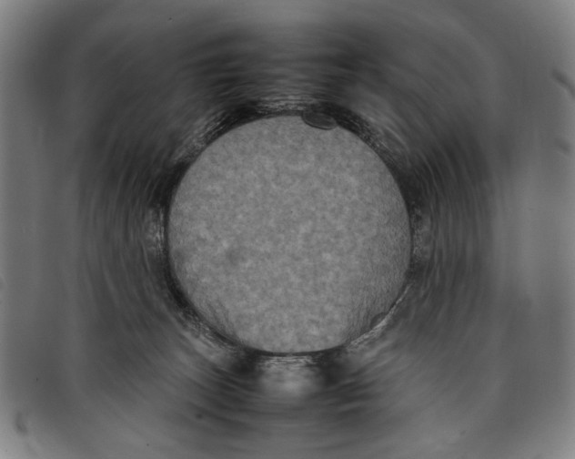 X0000097820179200804041407