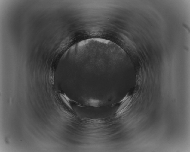 X0000097820180200804041407