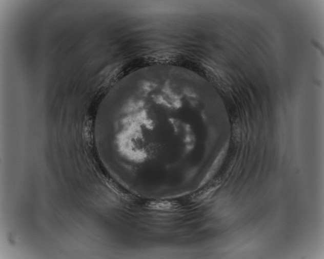 X0000097820181200804041407