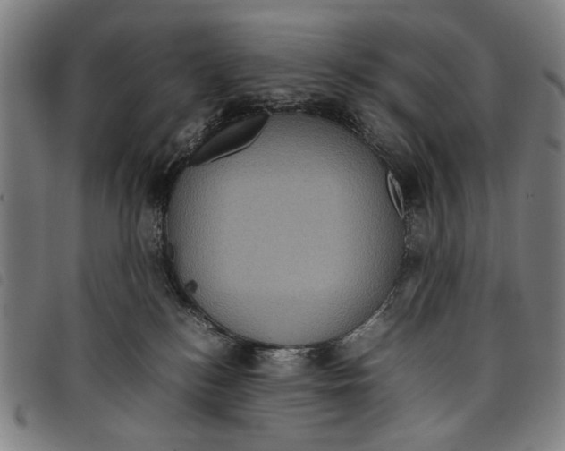 X0000097820184200804041407