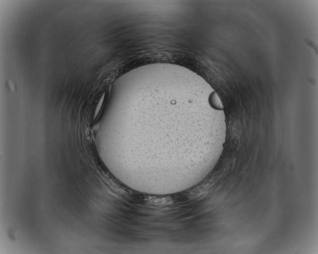 X0000097820185200804041407