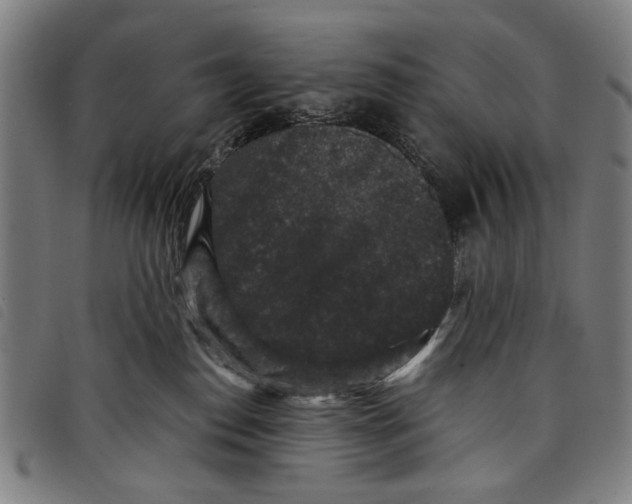 X0000097820186200804041407