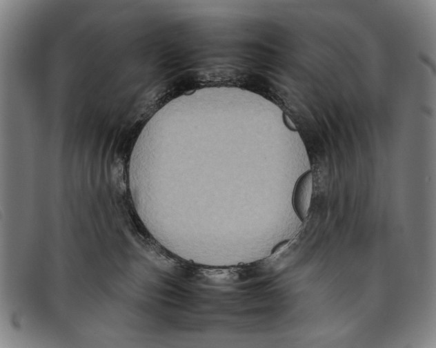 X0000097820187200804041407