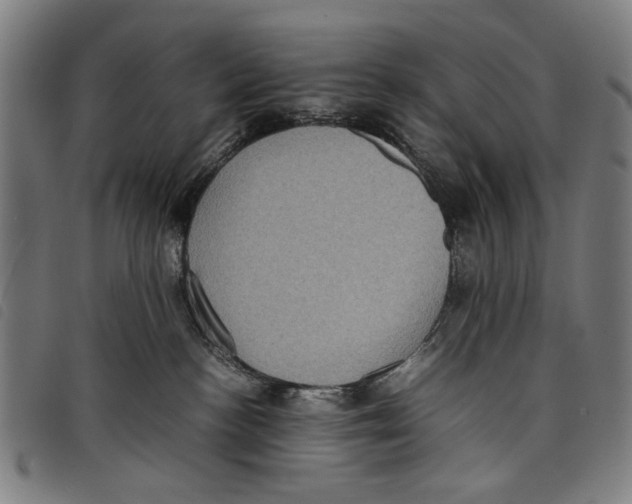 X0000097820188200804041407