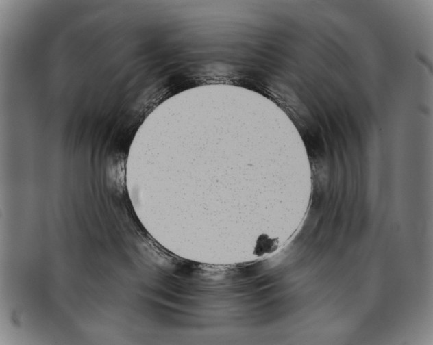 X0000097820190200804041407