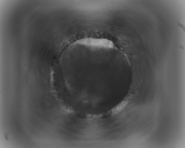 X0000097820192200804041407