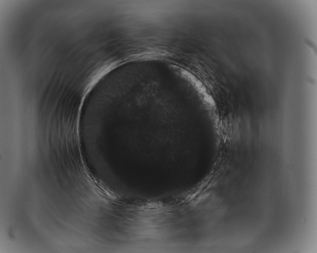 X0000097820196200804041406