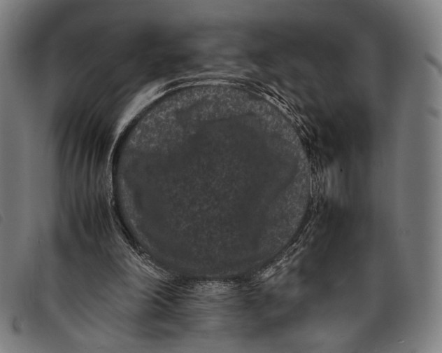 X0000097820198200804041406