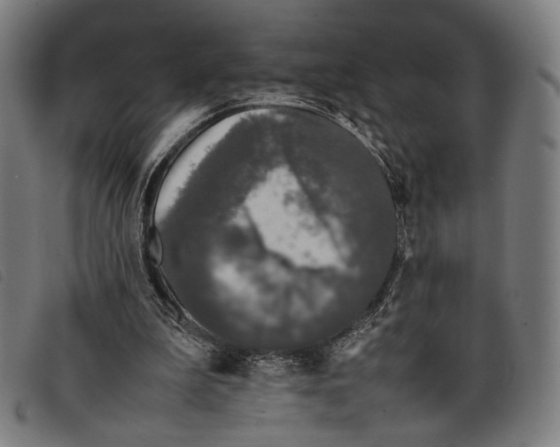 X0000097820199200804041406