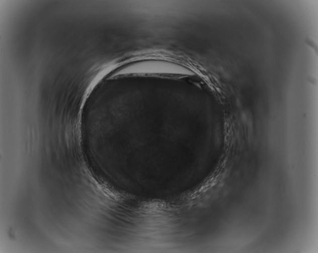 X0000097820200200804041406