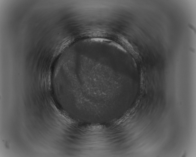 X0000097820202200804041406