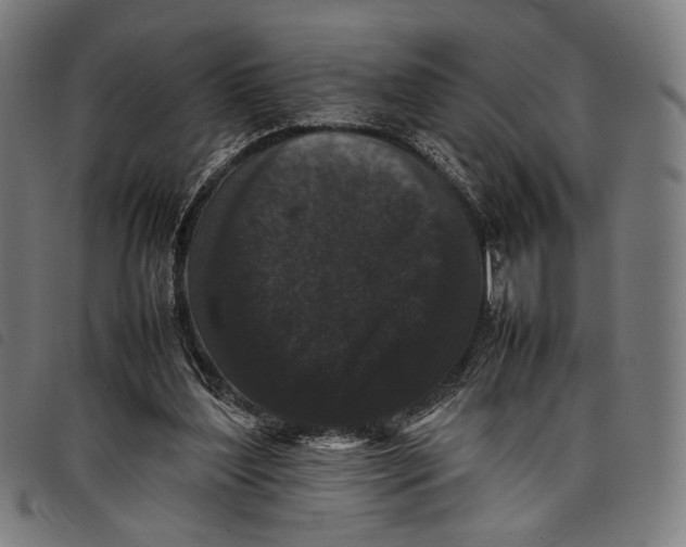 X0000097820204200804041406