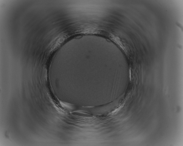 X0000097820205200804041406