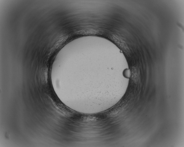 X0000097820206200804041406