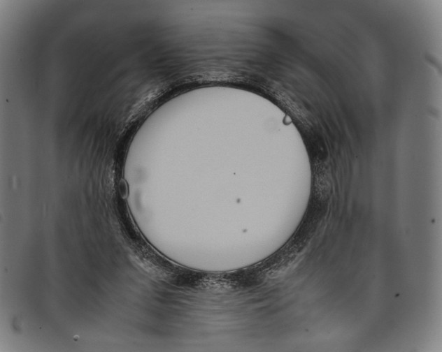 X0000097820207200804041406