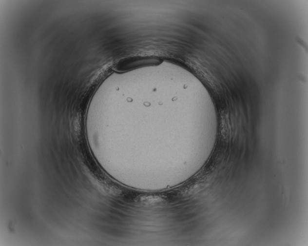 X0000097820208200804041406