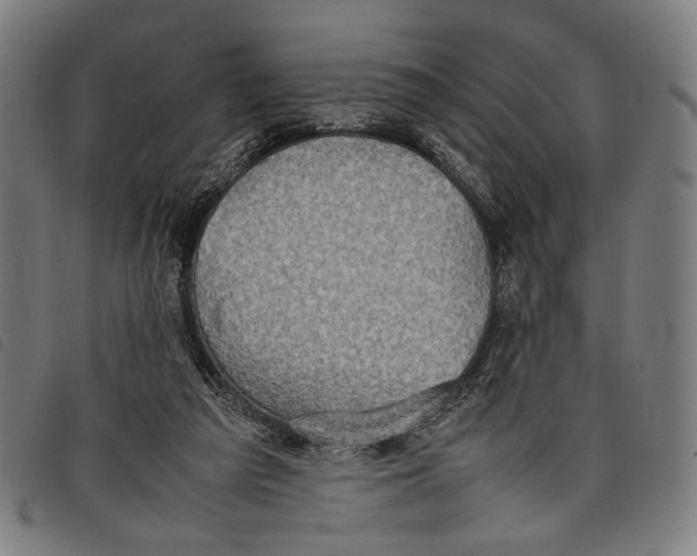 X0000097820209200804041406