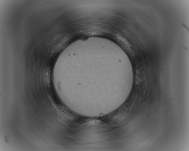 X0000097820210200804041406