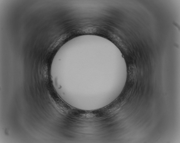 X0000097820212200804041406