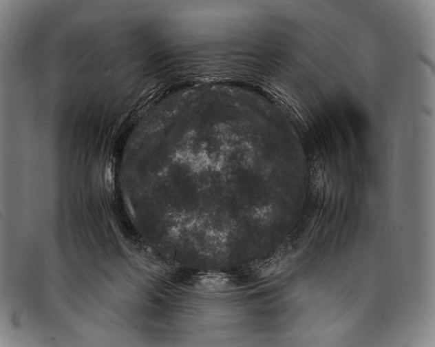 X0000097820214200804041406