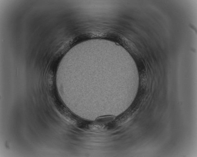 X0000097820215200804041406