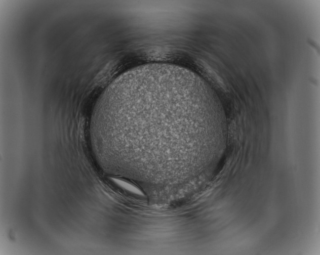 X0000097820217200804041406