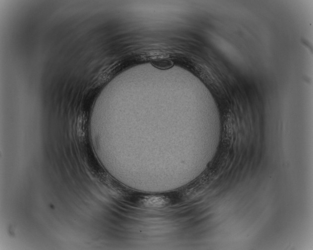 X0000097820218200804041406