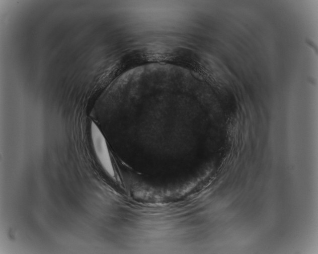 X0000097820219200804041406