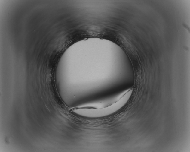 X0000097820221200804041406