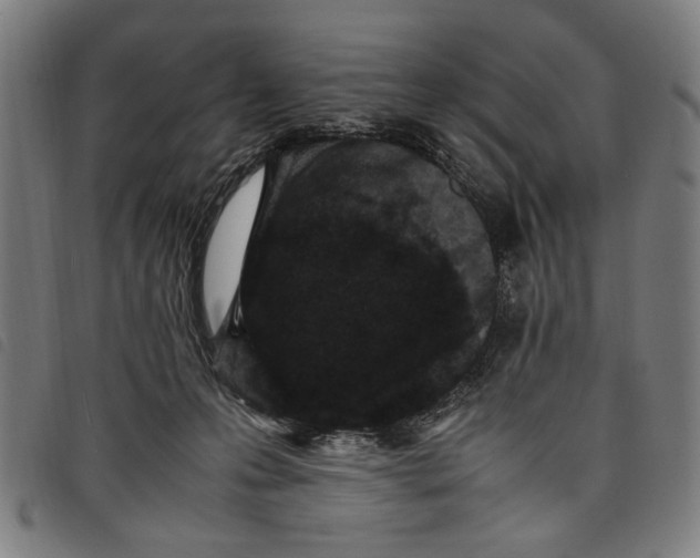 X0000097820223200804041406