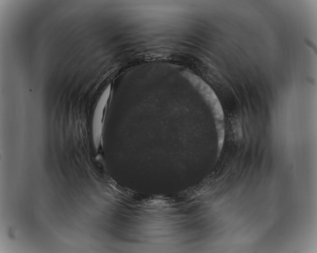 X0000097820224200804041406