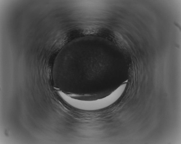 X0000097820227200804041406