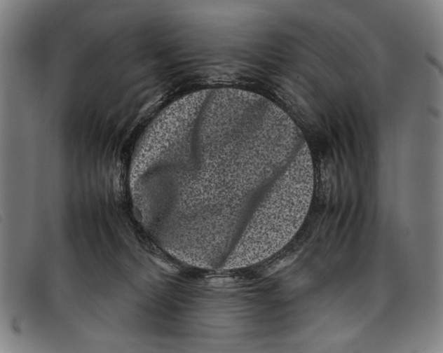 X0000097820228200804041406