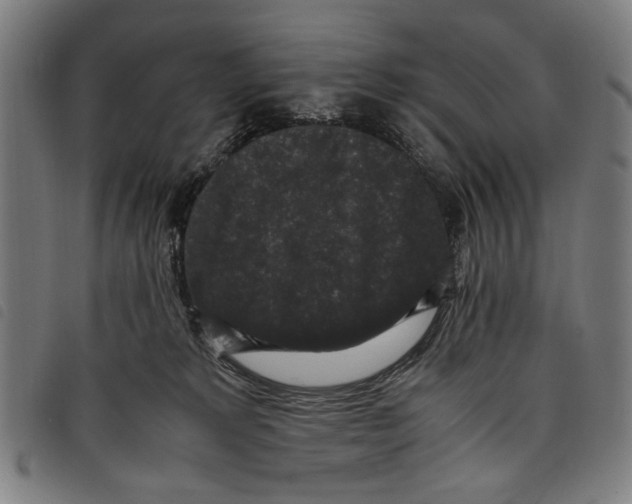 X0000097820229200804041406