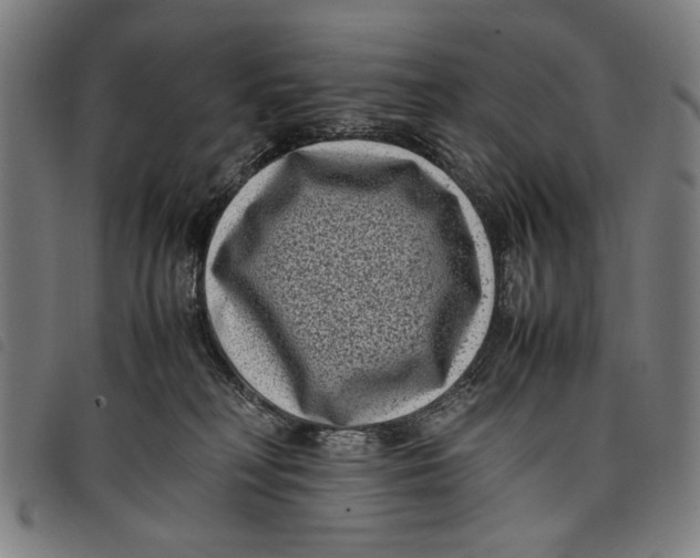 X0000097820230200804041406