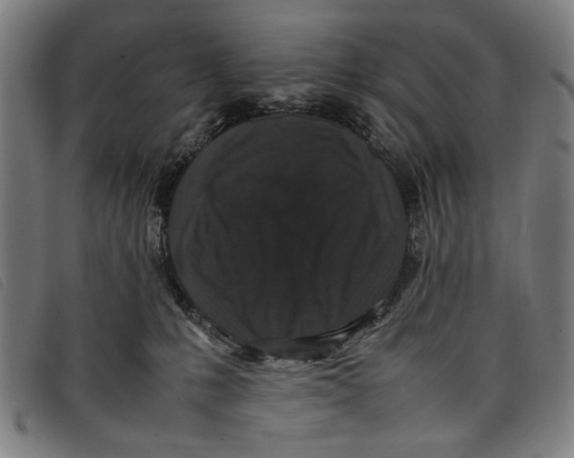 X0000097820231200804041406