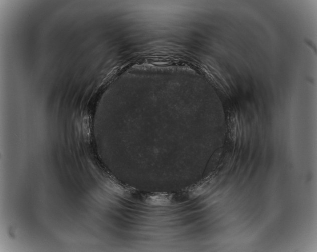 X0000097820232200804041406