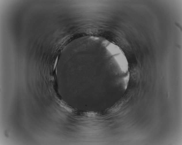 X0000097820233200804041406