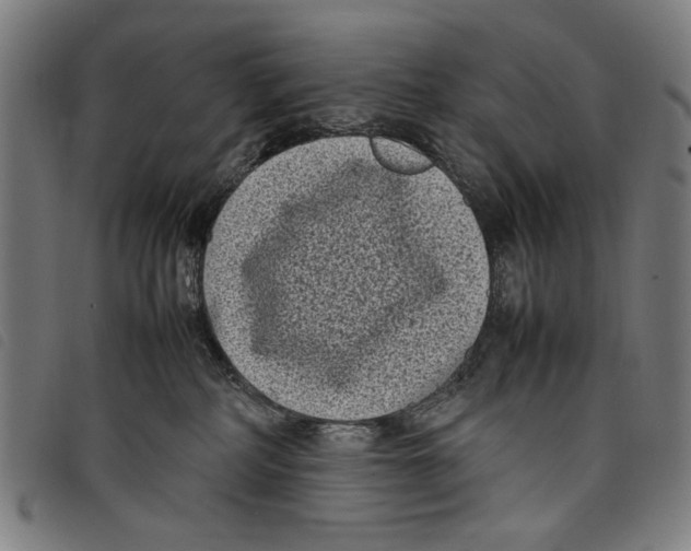 X0000097820234200804041406