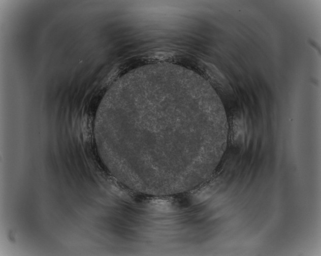 X0000097820236200804041406