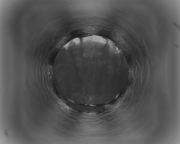 X0000097820237200804041406