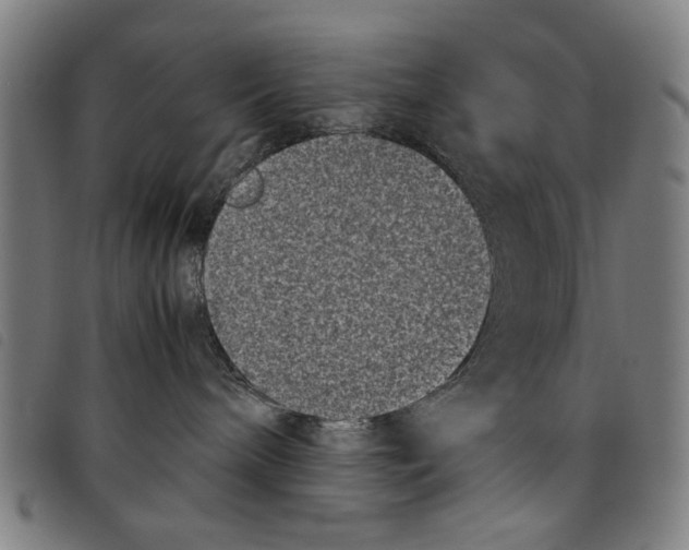 X0000097820240200804041406