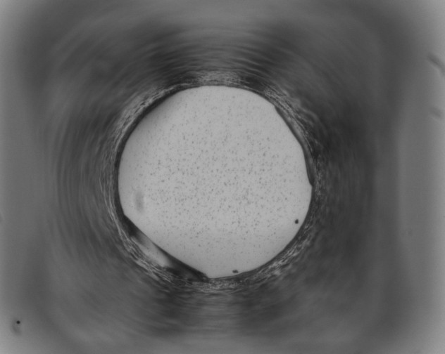 X0000097820241200804041405