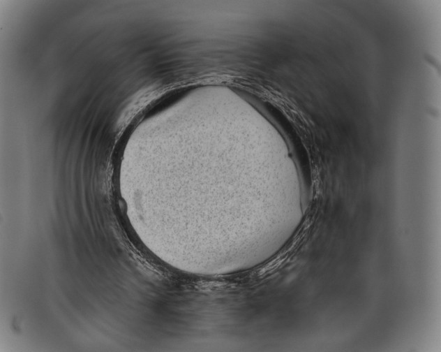 X0000097820242200804041405