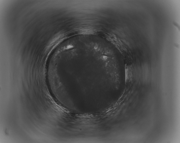 X0000097820243200804041405