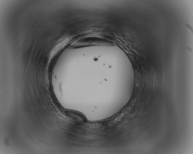 X0000097820245200804041405